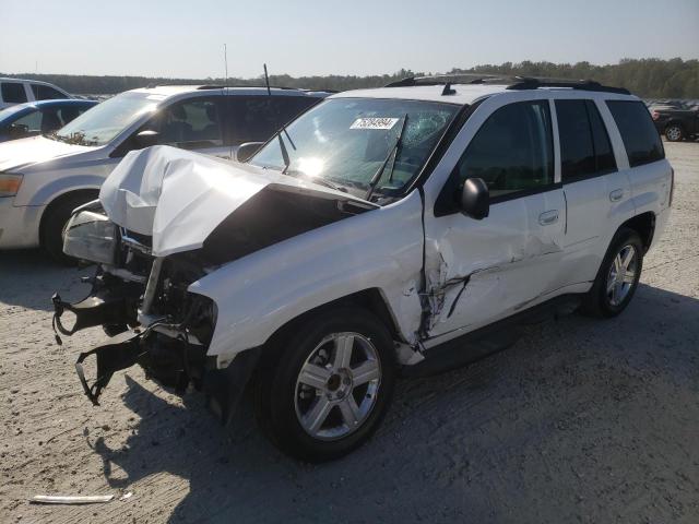 CHEVROLET TRAILBLAZE 2008 with VIN 1GNDS13S082236203 - Photo from auction