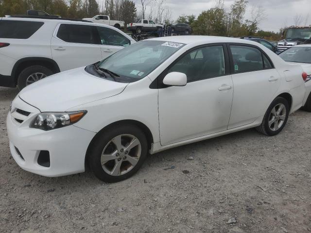 TOYOTA COROLLA BA 2011 with VIN 2T1BU4EE4BC632789 - Photo from auction