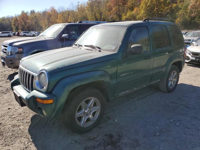JEEP LIBERTY LI 2003 with VIN 1J8GL58K73W729549 - Photo from auction