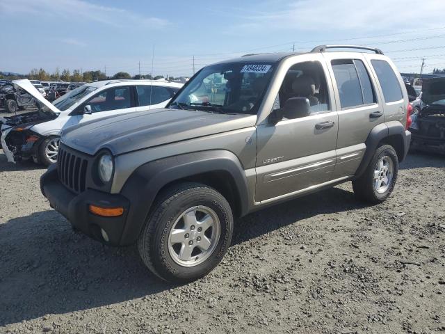 JEEP LIBERTY LI 2004 with VIN 1J4GL58K74W294759 - Photo from auction