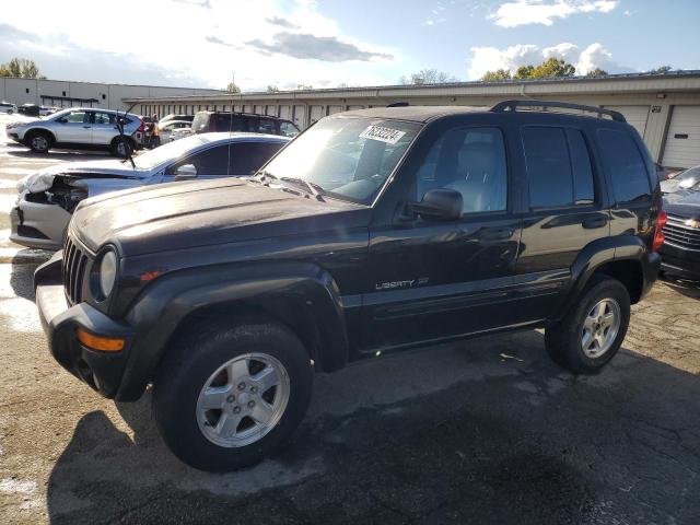 JEEP LIBERTY LI 2002 with VIN 1J4GL58K12W179250 - Photo from auction