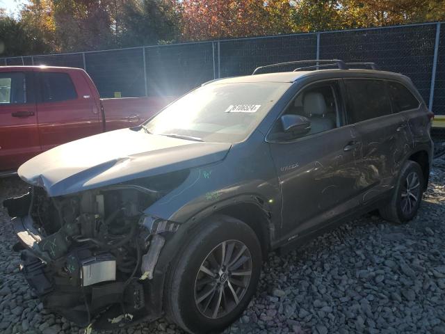 TOYOTA HIGHLANDER 2017 with VIN 5TDJGRFH2HS026366 - Photo from auction