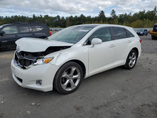 TOYOTA VENZA 2009 with VIN 4T3BK11A89U022353 - Photo from auction