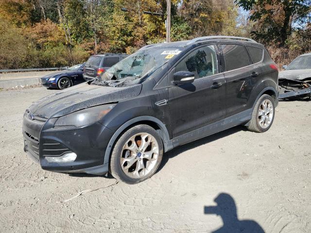 FORD ESCAPE TIT 2014 with VIN 1FMCU0JX6EUB93845 - Photo from auction