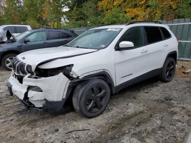 JEEP CHEROKEE L 2017 with VIN 1C4PJMDS2HW569309 - Photo from auction
