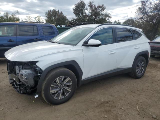 HYUNDAI TUCSON BLU 2024 with VIN KM8JBCD16RU194926 - Photo from auction