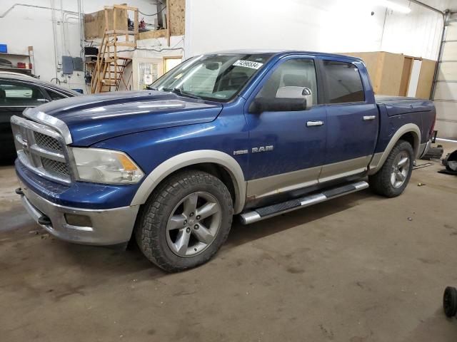 DODGE RAM 1500 2009 with VIN 1D3HV13T49J526775 - Photo from auction