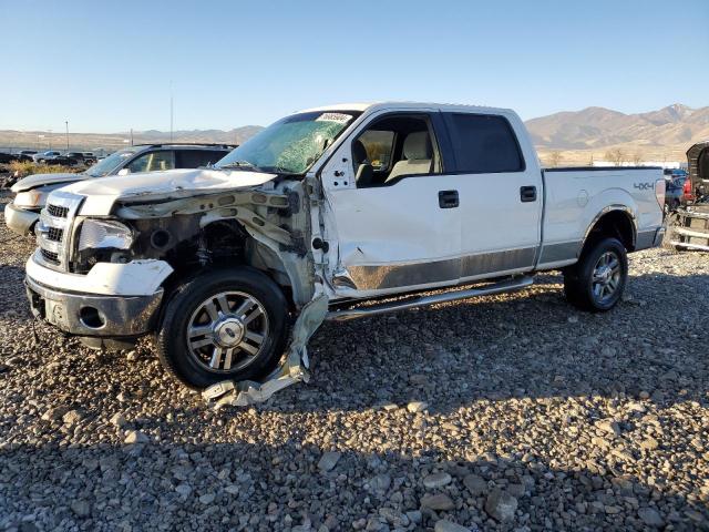 FORD F150 SUPER 2014 with VIN 1FTFW1EF3EKD35020 - Photo from auction