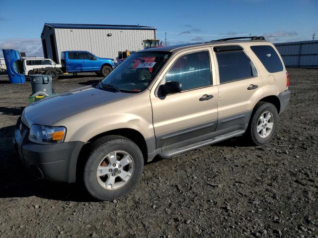 Photo 1 from auction – 2007 FORD ESCAPE XLT with VIN 1FMCU93ZX7KB68870