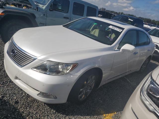 LEXUS LS 460 2007 with VIN JTHBL46F375041950 - Photo from auction