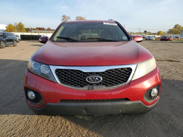 Photo 5 from auction – 2011 KIA SORENTO BA with VIN 5XYKTDA14BG071150