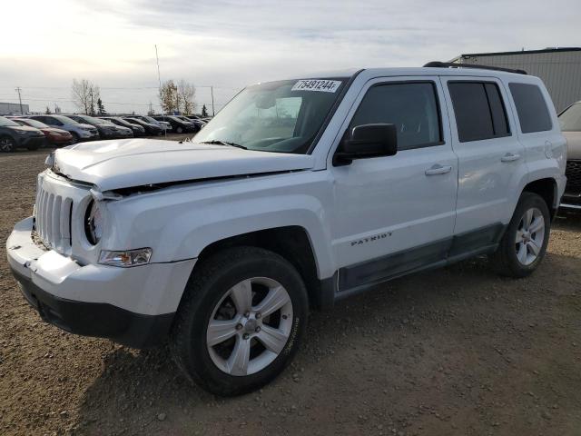 JEEP PATRIOT 2011 with VIN 1J4NF2GB0BD275137 - Photo from auction