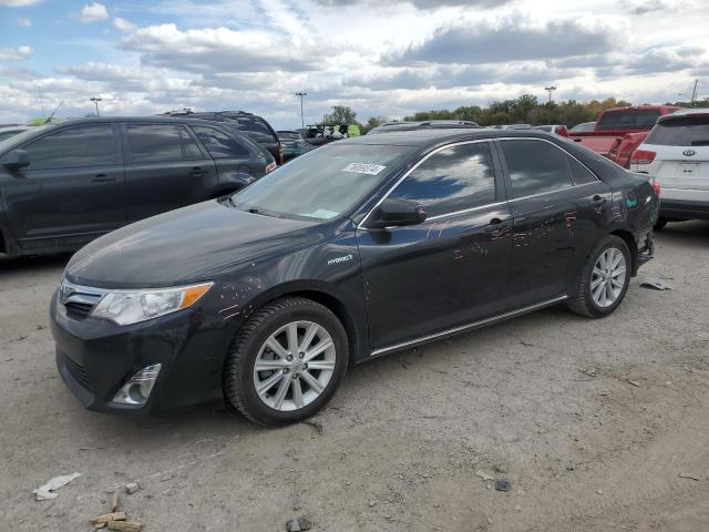 TOYOTA CAMRY LE 2016 with VIN 4T1BF1FK1GU219621 - Photo from auction
