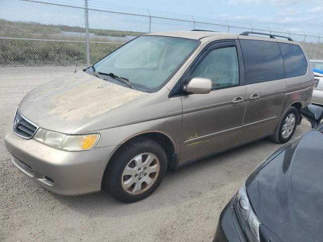 HONDA ODYSSEY EX 2003 with VIN 5FNRL18003B043378 - Photo from auction