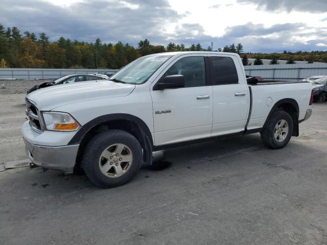 DODGE RAM 1500 2010 with VIN 1D7RV1GP8AS160589 - Photo from auction
