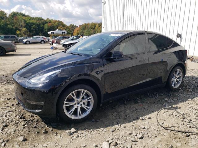 TESLA MODEL Y 2024 with VIN 7SAYGDEE3RA227935 - Photo from auction