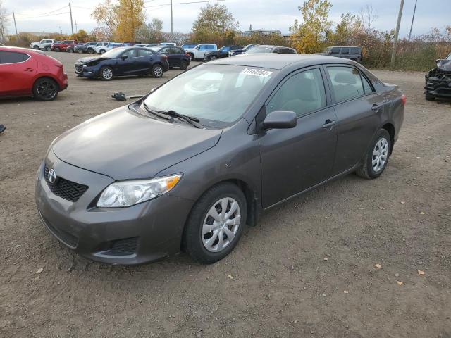 TOYOTA COROLLA BA 2009 with VIN 2T1BU40E59C117544 - Photo from auction