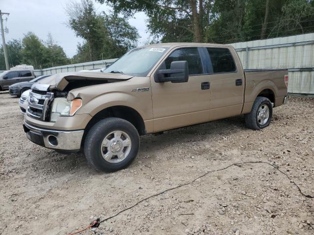 FORD F150 SUPER 2013 مع رقم تعريف المركبة 1FTEW1CM4DKD11109 - صورة من المزاد