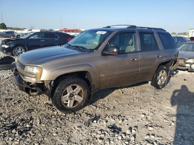 CHEVROLET TRAILBLAZE 2002 with VIN 1GNDT13S822449291 - Photo from auction