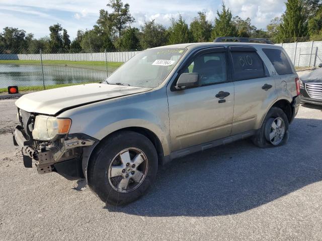 FORD ESCAPE XLT 2010 with VIN 1FMCU0D74AKD34204 - Photo from auction
