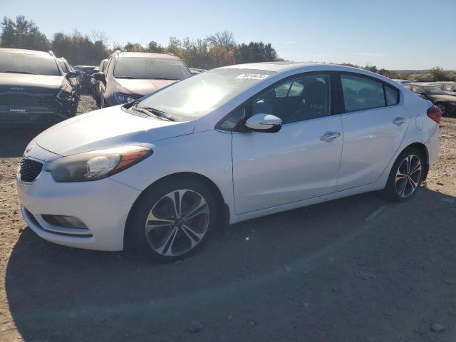 Photo 1 from auction – 2014 KIA FORTE EX with VIN KNAFZ4A81E5059920