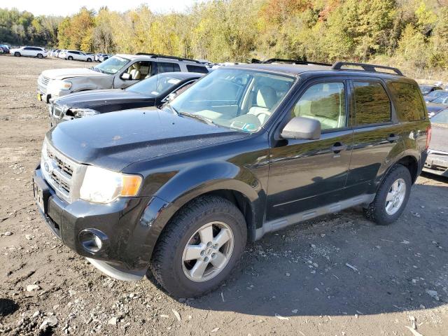 Photo 1 from auction – 2010 FORD ESCAPE XLT with VIN 1FMCU9DG4AKC75546