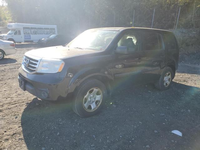 HONDA PILOT LX 2014 with VIN 5FNYF4H24EB039536 - Photo from auction