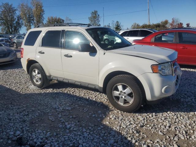 Photo 4 from auction – 2010 FORD ESCAPE XLT with VIN 1FMCU0DG5AKD44773