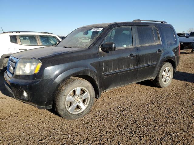 HONDA PILOT EXL 2011 with VIN 5FNYF4H65BB507174 - Photo from auction