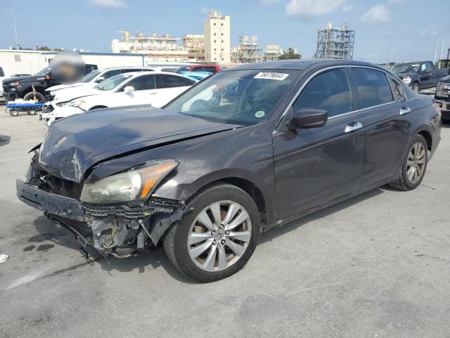 HONDA ACCORD EXL 2011 with VIN 1HGCP3F82BA013645 - Photo from auction