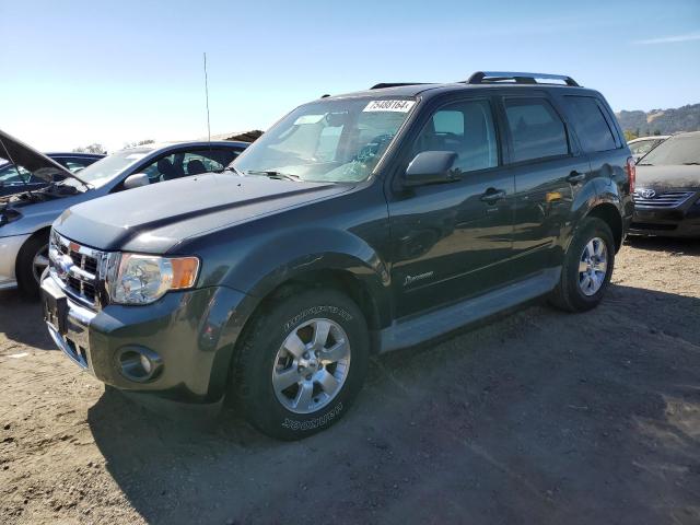 FORD ESCAPE HYB 2009 with VIN 1FMCU59329KA60774 - Photo from auction
