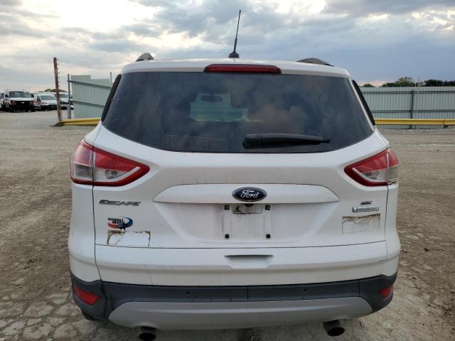 Photo 6 from auction – 2014 FORD ESCAPE SE with VIN 1FMCU0GX9EUA92631
