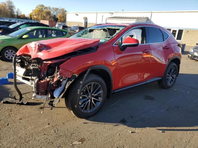 LEXUS NX 350 BAS 2024 with VIN 2T2AGCEZ5RC050948 - Photo from auction
