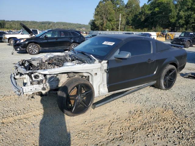 FORD MUSTANG 2005 with VIN 1ZVFT80N755124995 - Photo from auction