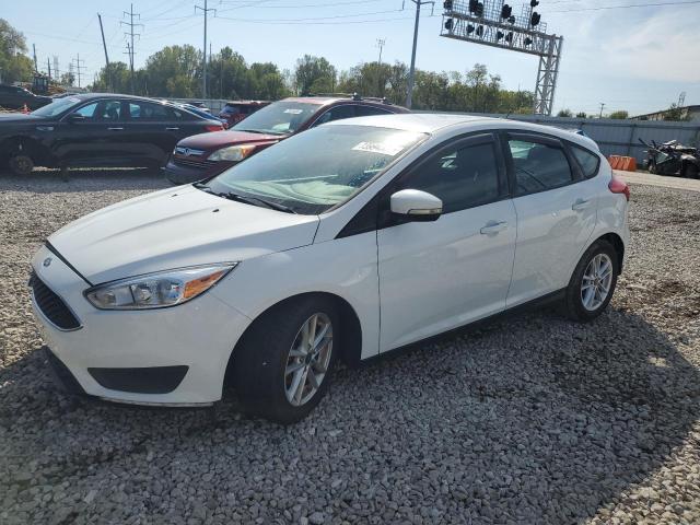 FORD FOCUS SE 2016 with VIN 1FADP3K2XGL343524 - Photo from auction