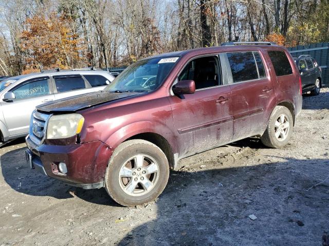 HONDA PILOT EXL 2009 z numerem VIN 5FNYF48689B026023 - Zdjęcie z aukcji