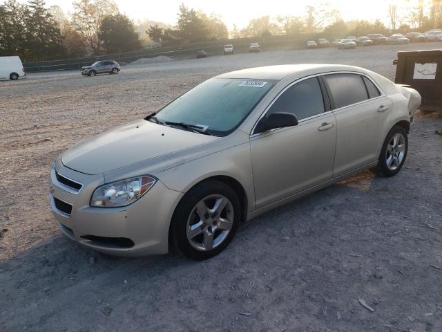 CHEVROLET MALIBU LS 2012 with VIN 1G1ZA5EU6CF159113 - Photo from auction