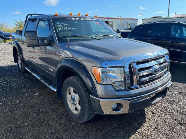 FORD F150 SUPER 2011 with VIN 1FTFW1ET0BFD04513 - Photo from auction