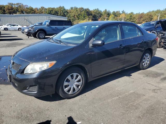 TOYOTA COROLLA BA 2009 with VIN JTDBL40E19J038282 - Photo from auction