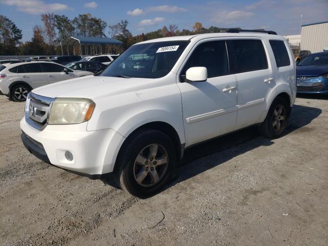 HONDA PILOT EXL 2009 with VIN 5FNYF38589B018280 - Photo from auction