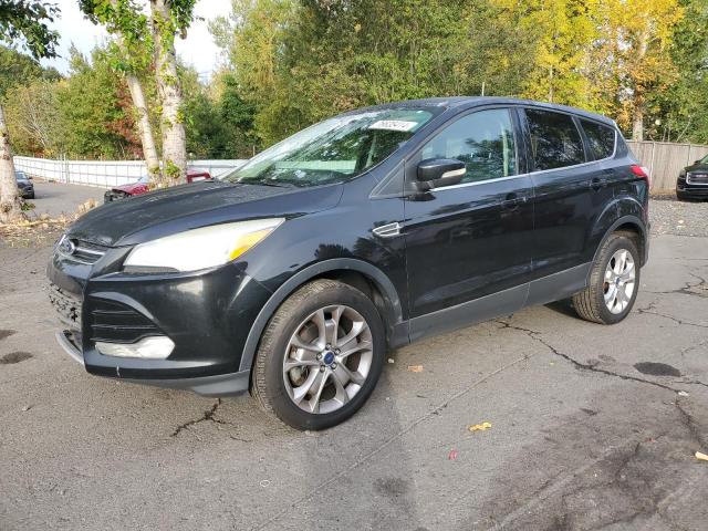 FORD ESCAPE SEL 2013 with VIN 1FMCU9H92DUA53611 - Photo from auction