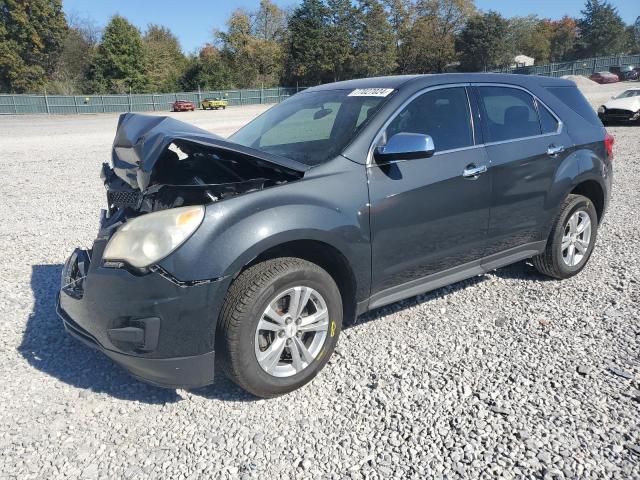 CHEVROLET EQUINOX LS 2013 with VIN 2GNALBEK1D1164313 - Photo from auction