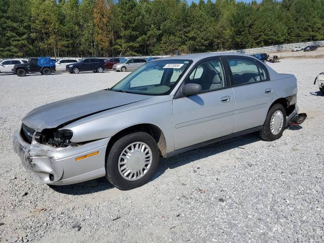 CHEVROLET MALIBU 2002 with VIN 1G1ND52J02M648617 - Photo from auction