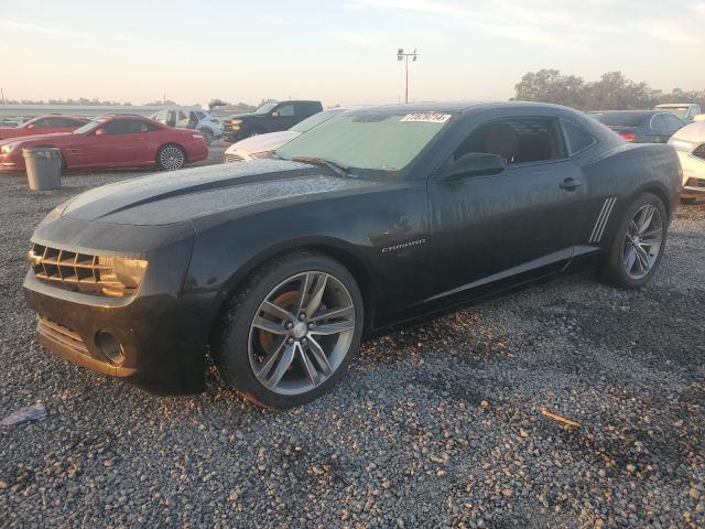 CHEVROLET CAMARO LS 2011 with VIN 2G1FE1ED3B9202832 - Photo from auction