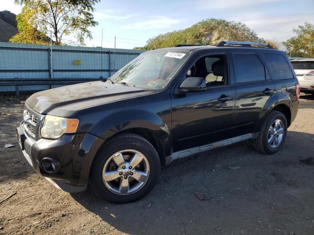 FORD ESCAPE 2010 with VIN 1FMCU9EG1AKB31256 - Photo from auction