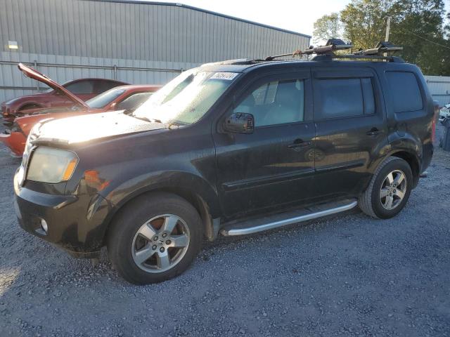HONDA PILOT EXL 2009 with VIN 5FNYF38519B025524 - Photo from auction
