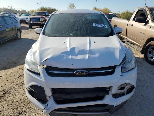Photo 5 from auction – 2016 FORD ESCAPE SE with VIN 1FMCU9GX4GUB45467