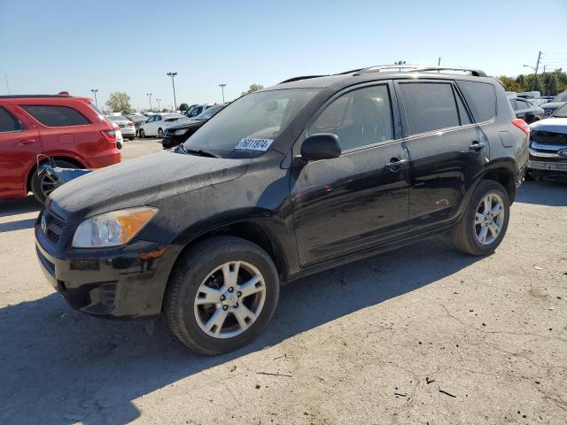 TOYOTA RAV4 2012 with VIN JTMBF4DV7C5056447 - Photo from auction