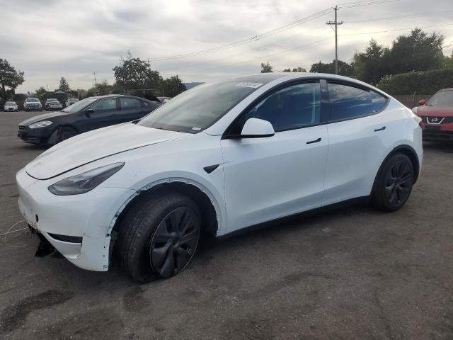 TESLA MODEL Y 2024 with VIN 7SAYGDEE0RF196209 - Photo from auction