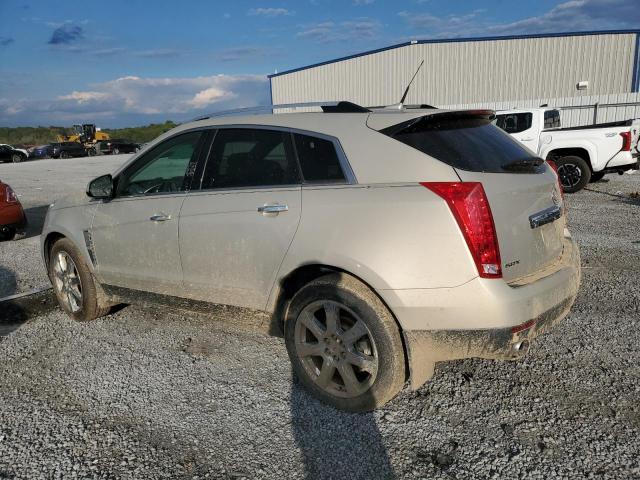 Photo 2 from auction – 2010 CADILLAC SRX PERFOR with VIN 3GYFNBEY8AS609962